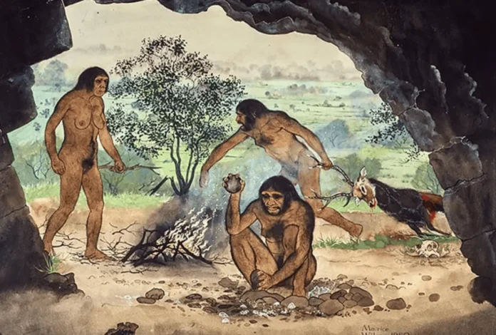 Homo erectus usando fuego hace 1.8 millones.