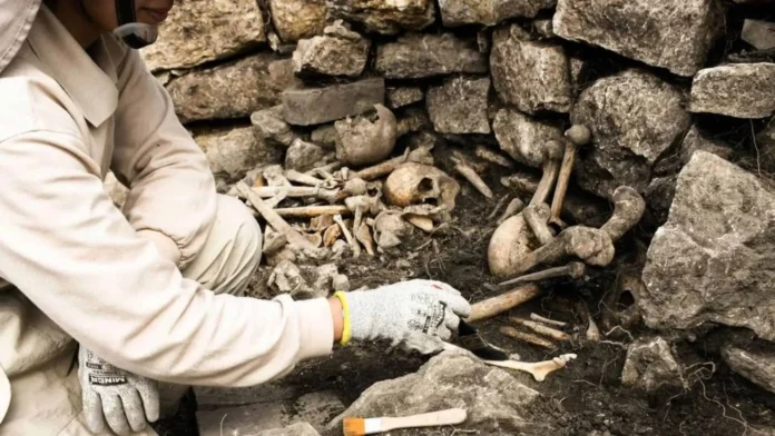 Restos óseos descubiertos en fortaleza Kuélap.