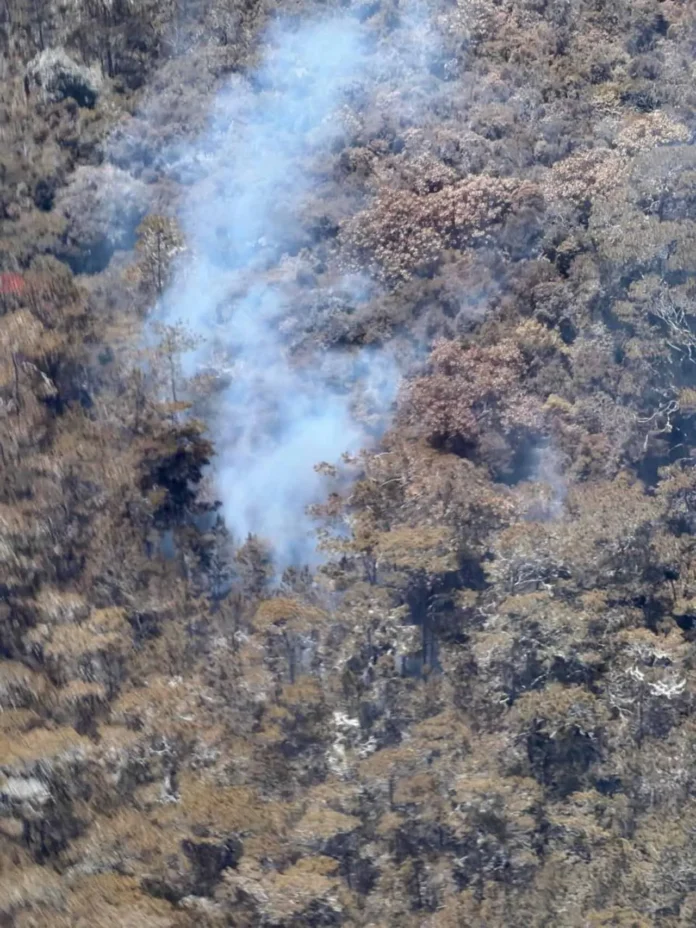 Incendio forestal en Sierra de Bahoruco.