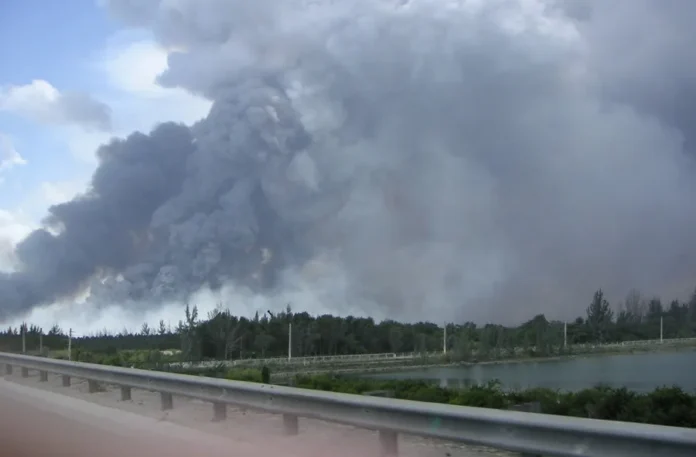 Incendios forestales en Miami, evacuaciones necesarias.
