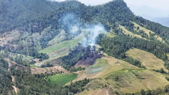 Ocoa y Azua discuten plantación de marihuana.