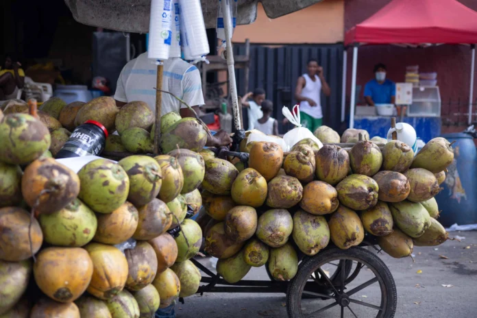 Bahamas, mercado clave para coco dominicano.