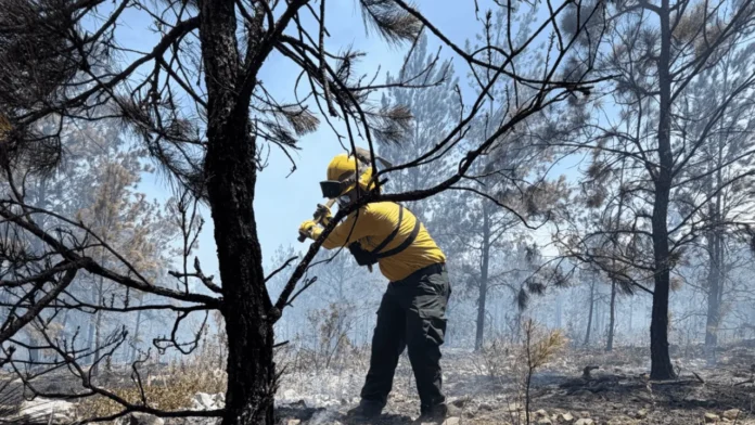 Control del 70% del incendio en Bahoruco