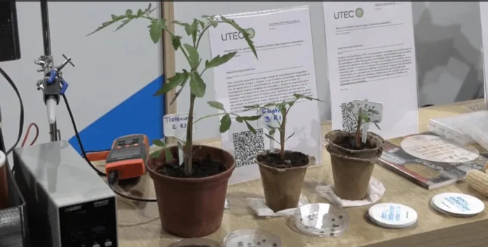 Innovadora tecnología magnética para germinación de semillas