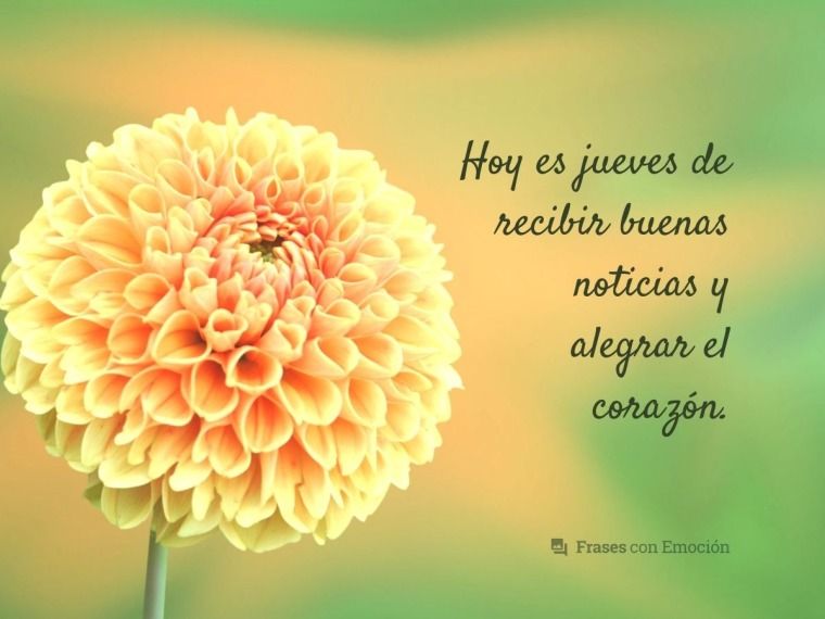 cuales son las ultimas buenas noticias que pueden alegrar tu dia