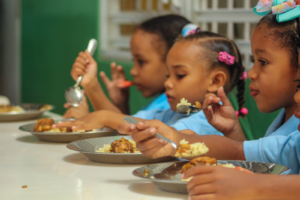 alimentacion escolar