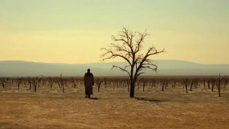 Soledad en medio de la devastación