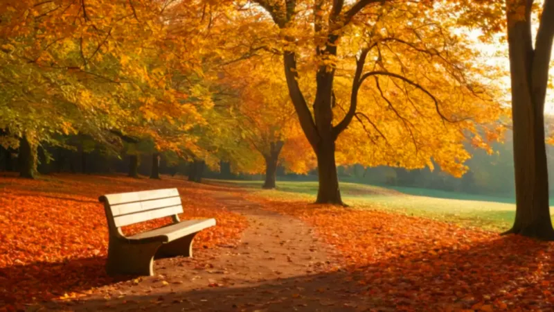 bonitas frases de noviembre_3axc