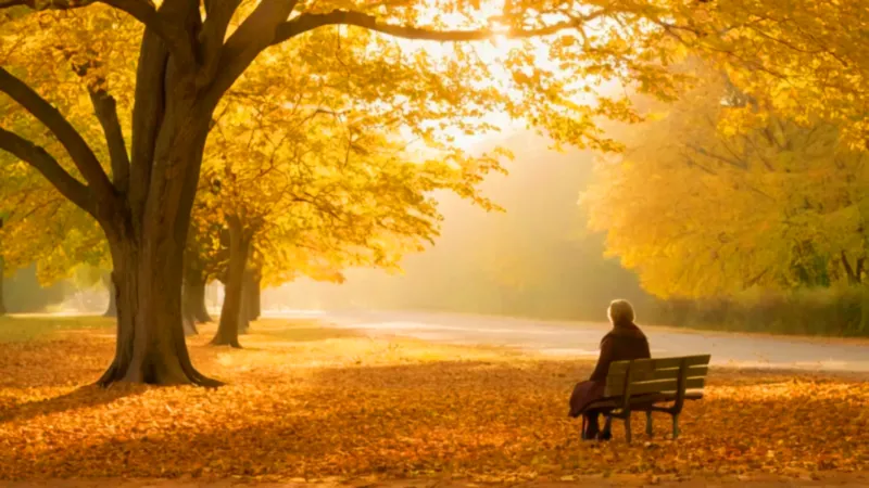 Figura solitaria en un parque de otoño