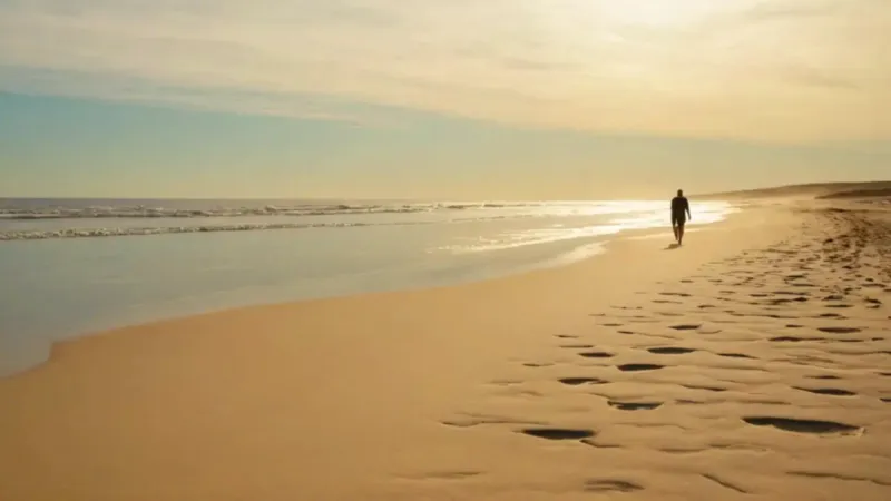Una figura solitaria ante el mar dorado