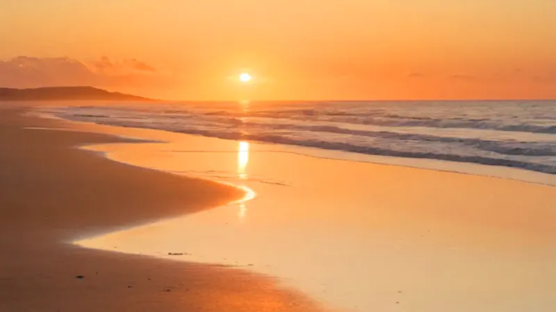 cual es la playa mas larga del mundo_vsv8