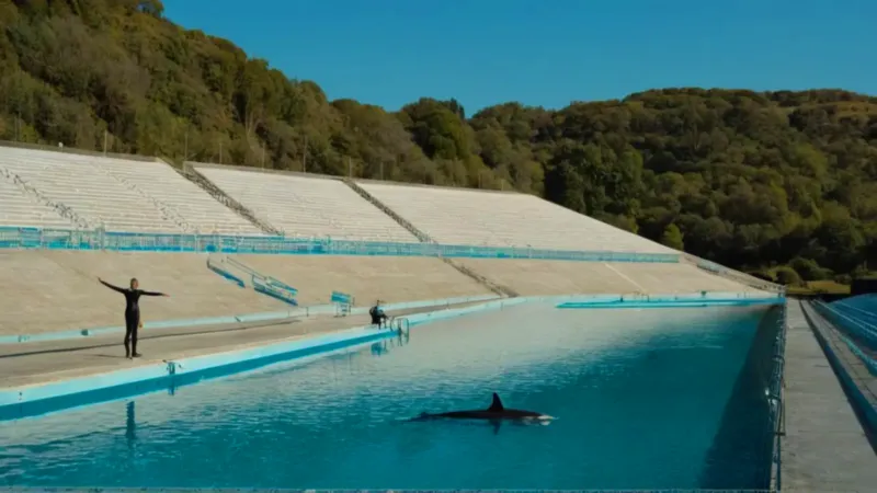 cuanto vive un delfin_y6un
