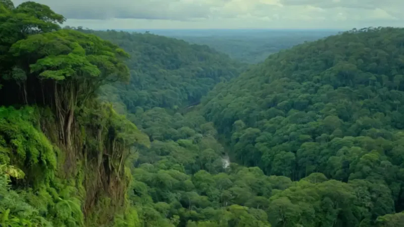 Una figura solitaria contempla la selva inmensa