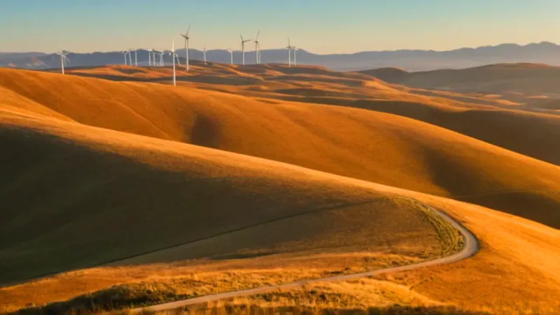 Vasto paisaje dorado en el atardecer