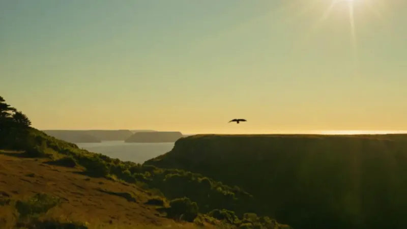 Hombre contempla la inmensidad al atardecer