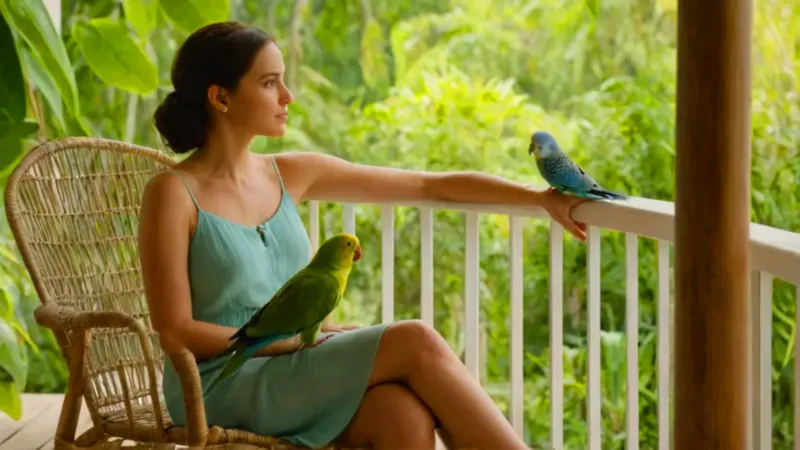 que significa sonar con pericos_k6k9