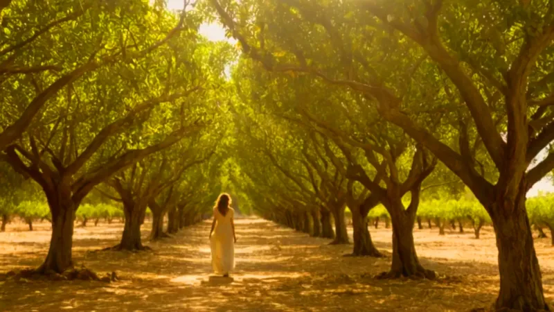Figura solitaria en un soleado limonar