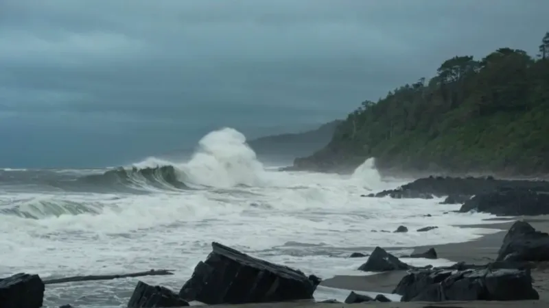 sonar con tsunami y mi familia_occ9