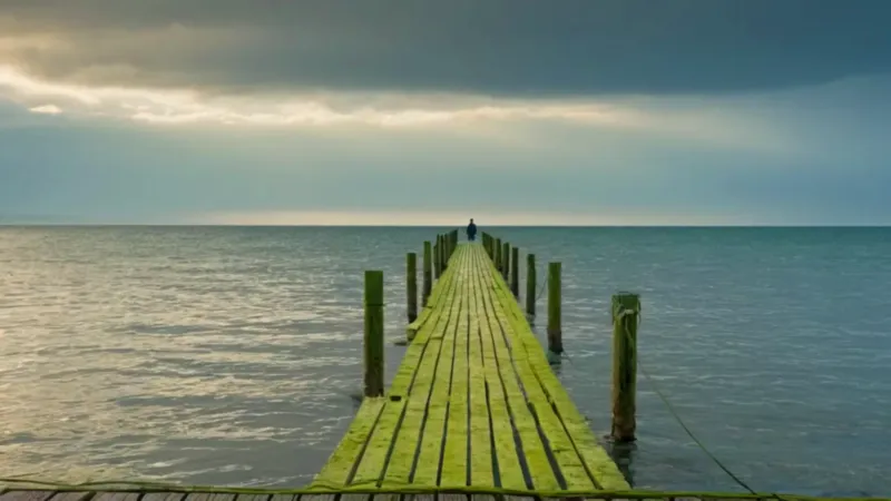 zona de confort frases_eo9d