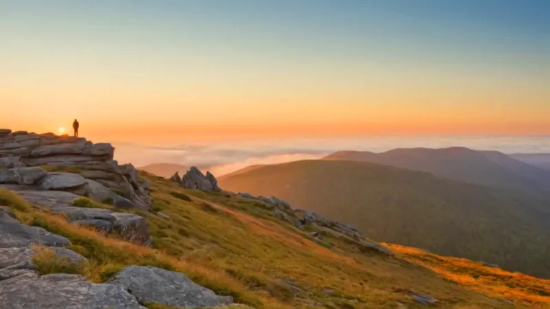 zona de confort frases_sysb