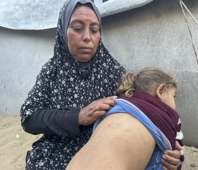 Plagas de roedores e insectos en Gaza