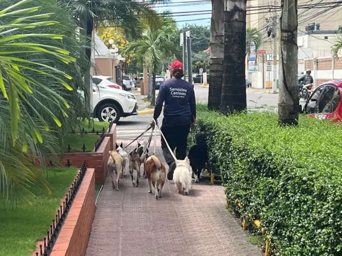 Paseadores de perros en Santo Domingo.