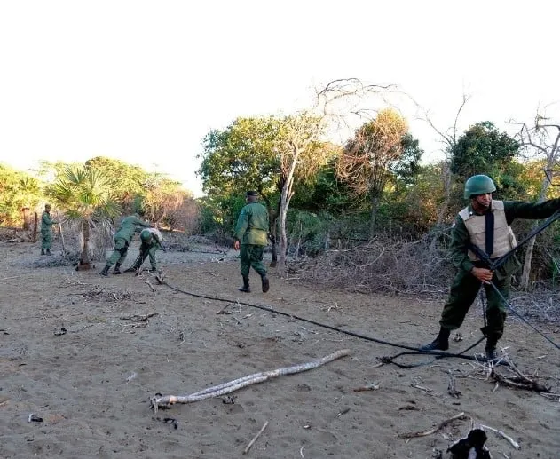 Investigación sobre ocupación en dunas de Baní