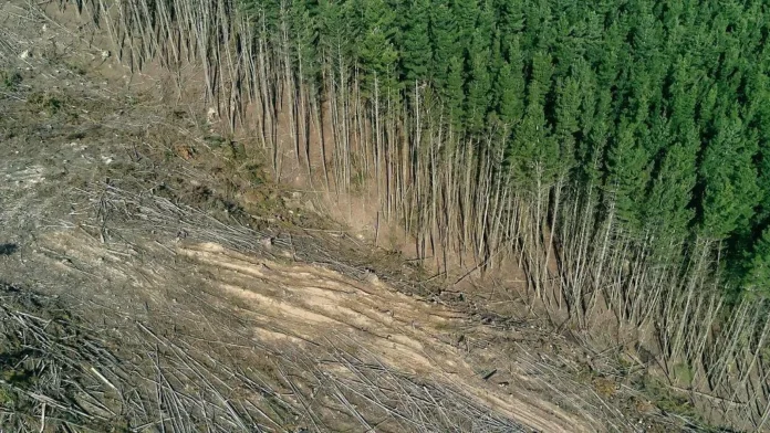Crisis ambiental crítica en el planeta.