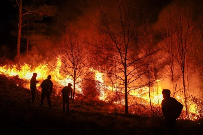 Incendios devastan acres en Florida y Georgia.