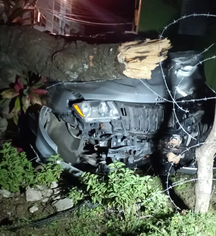 Profesora ilesa tras chocar contra árbol