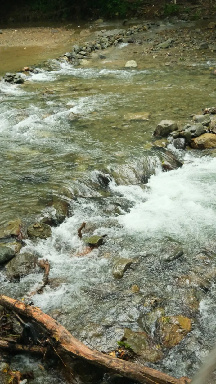 Monitoreo digital para auditoría del agua