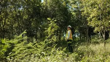 Zonas de exclusión minera propuestas por Camiperd