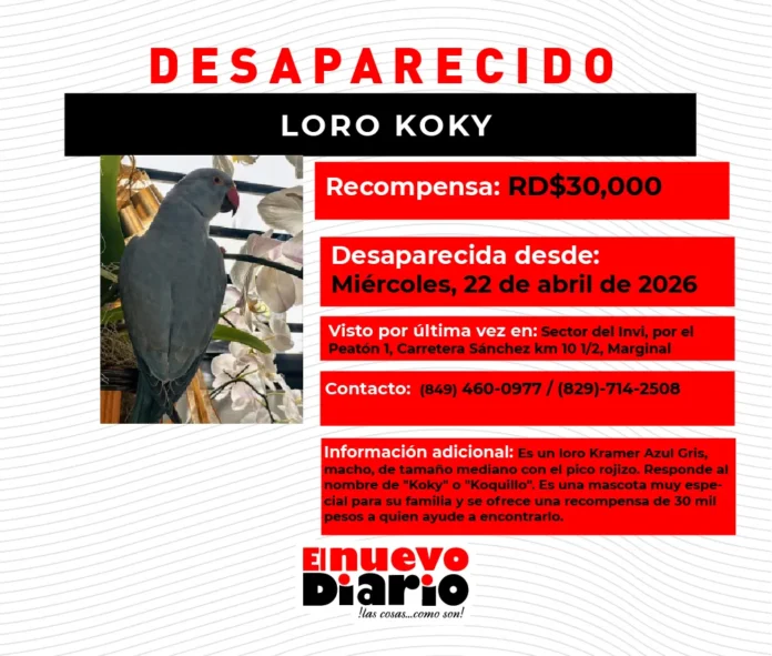 Recompensa por loro desaparecido en Invi