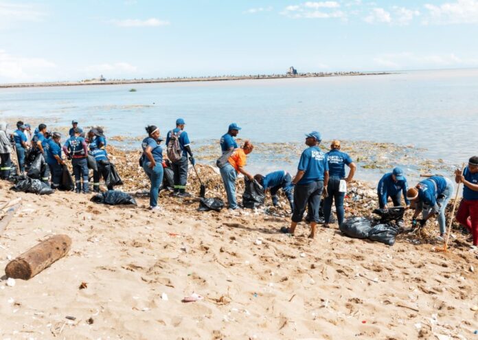 Limpieza de playa Montesinos por autoridades.
