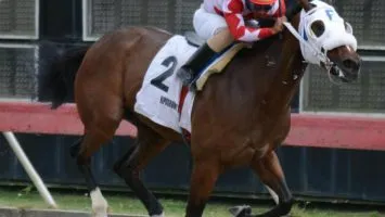 Grateful Lady favorita en el hipódromo.