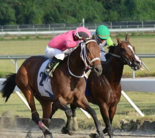 Comisión Hípica apoya a estudiantes jinetes.