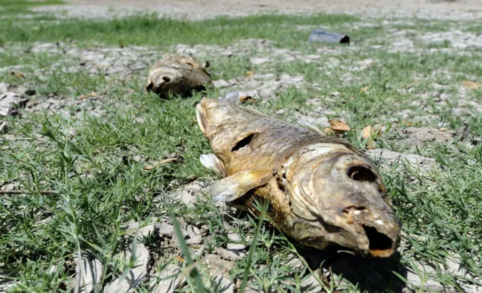 Día de la Tierra y calentamiento global.