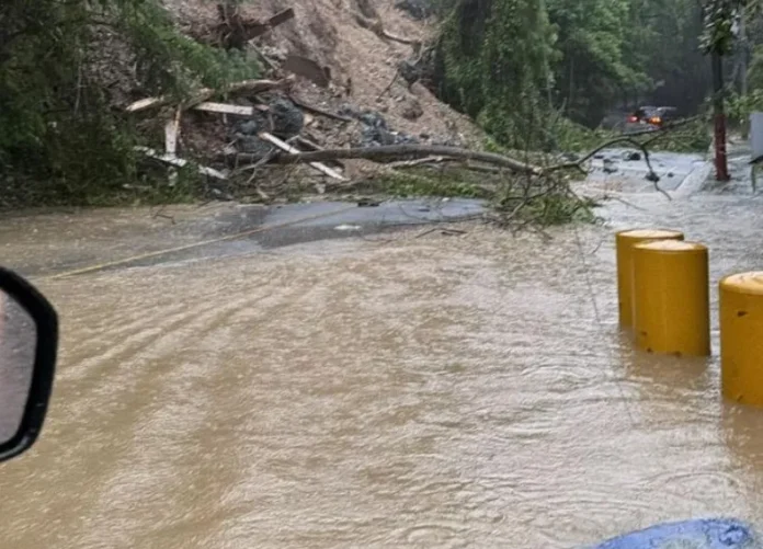 Residentes de Cuesta Hermosa exigen intervención urgente.