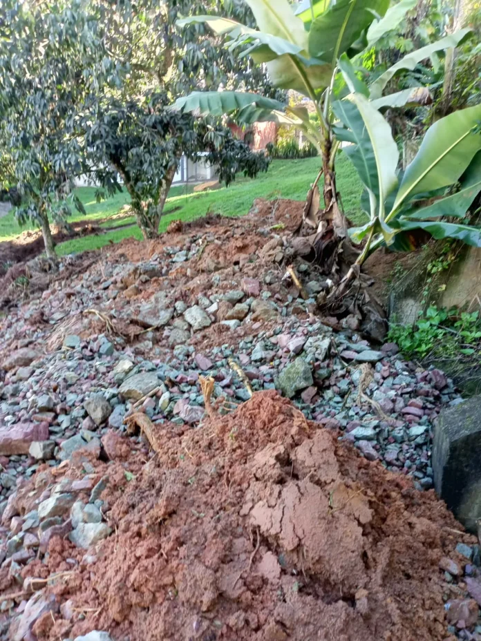 Chiqui Gómez denuncia invasión de su propiedad.