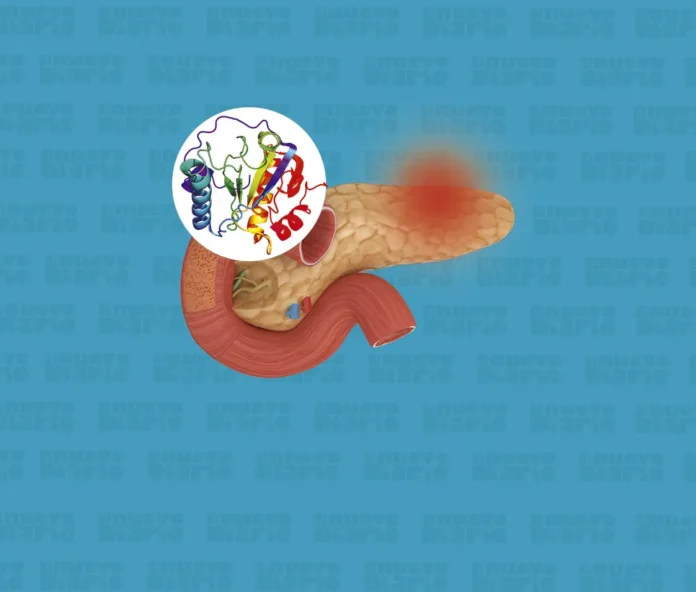 Nuevos medicamentos contra el cáncer de páncreas