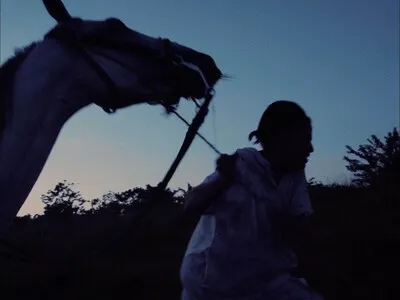 Cortometraje 'Caballo blanco' premiado en Nueva York