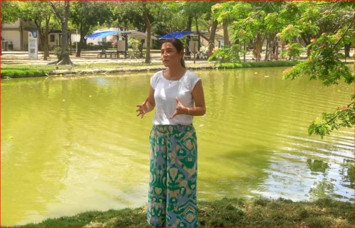 ONG aboga por transición energética ordenada.