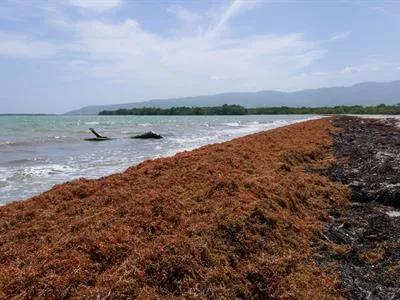 Viceministro urge protección de zona costera