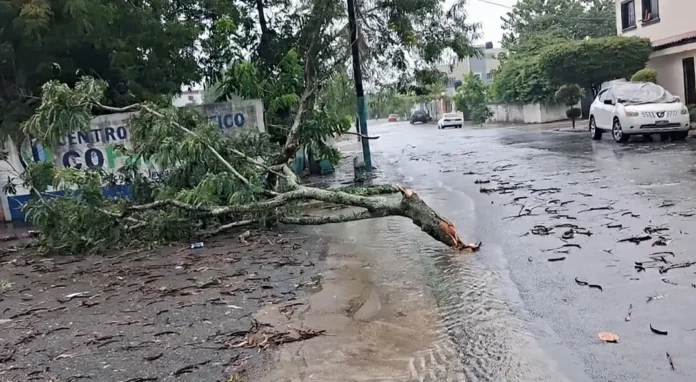Daños por fenómeno atmosférico en Cotuí.