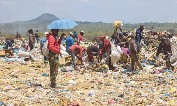Buzos recolectores de residuos sólidos formalizados.