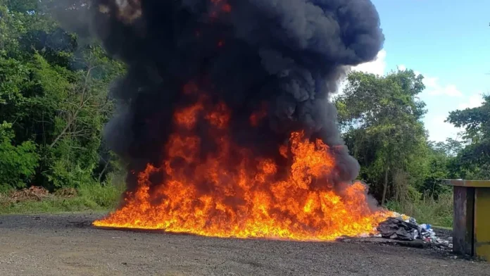Inacif destruye más de una tonelada de drogas.