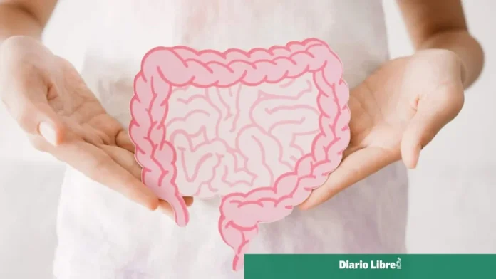 Microbiota intestinal y riesgo de Parkinson.