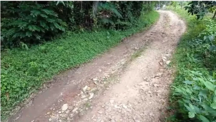 Crisis de agua y caminos en Hato Damas