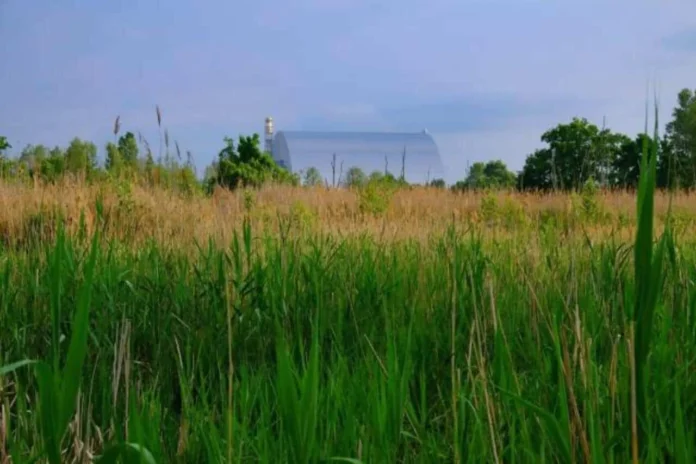 Chernóbil: 40 años de la catástrofe nuclear.