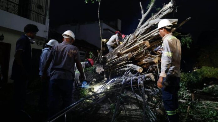 Árboles caídos en la Zona Colonial.